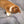 Cargar imagen en el visor de la galería, Catnip Joint - Handmade Weed Cat Toy
