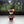 Load image into Gallery viewer, Lookah Bear 510 Cartridge Vape Battery - Tie Dye
